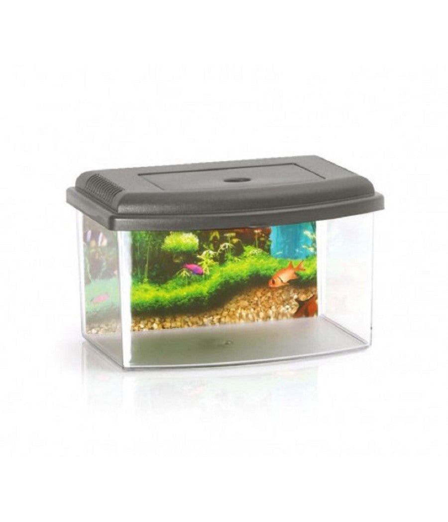 Acquario Rettangolare In Plastica Rigida 3 Litri Con Coperchio 22 X 16 X 14 Cm         