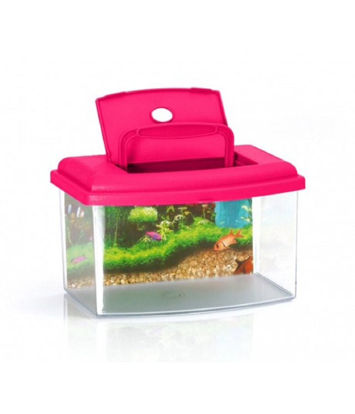 Acquario Rettangolare In Plastica Rigida 3 Litri Con Coperchio 22 X 16 X 14 Cm         