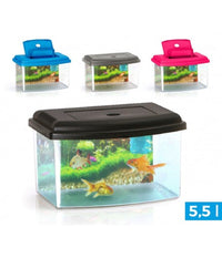 Acquario Rettangolare In Plastica Rigida 5,5 Lt Con Coperchio 28 X 20 X 17 Cm         