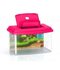 Acquario Rettangolare In Plastica Rigida 5,5 Lt Con Coperchio 28 X 20 X 17 Cm         