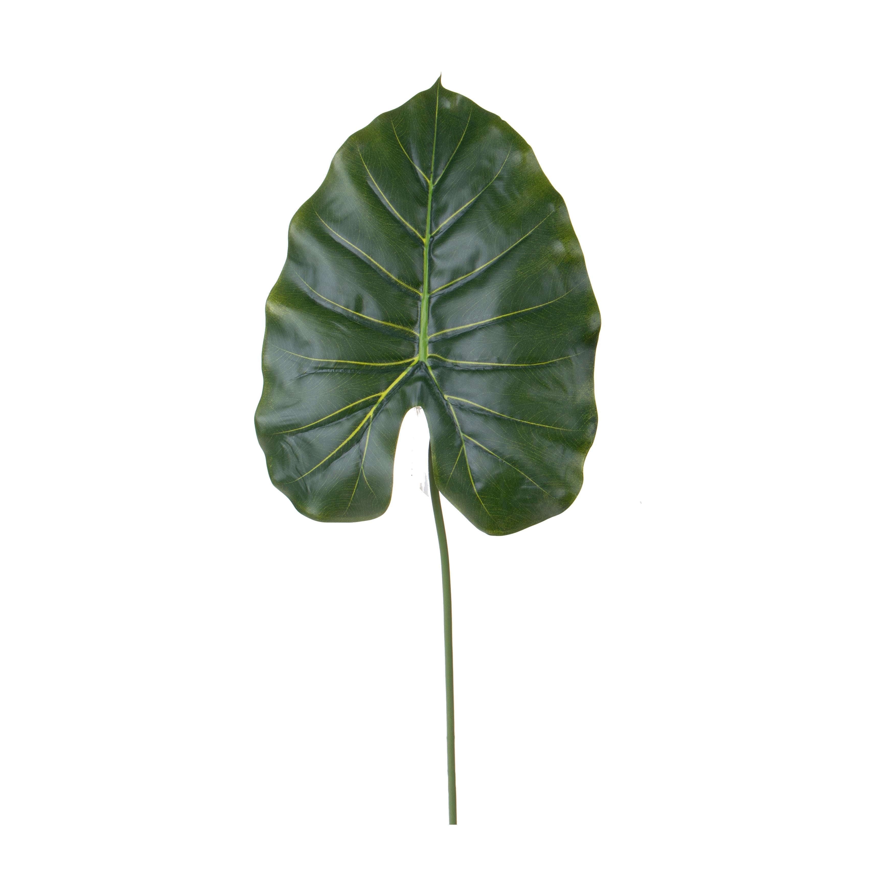 Set 12 Foglia Artificiali di Pothos H 66 cm