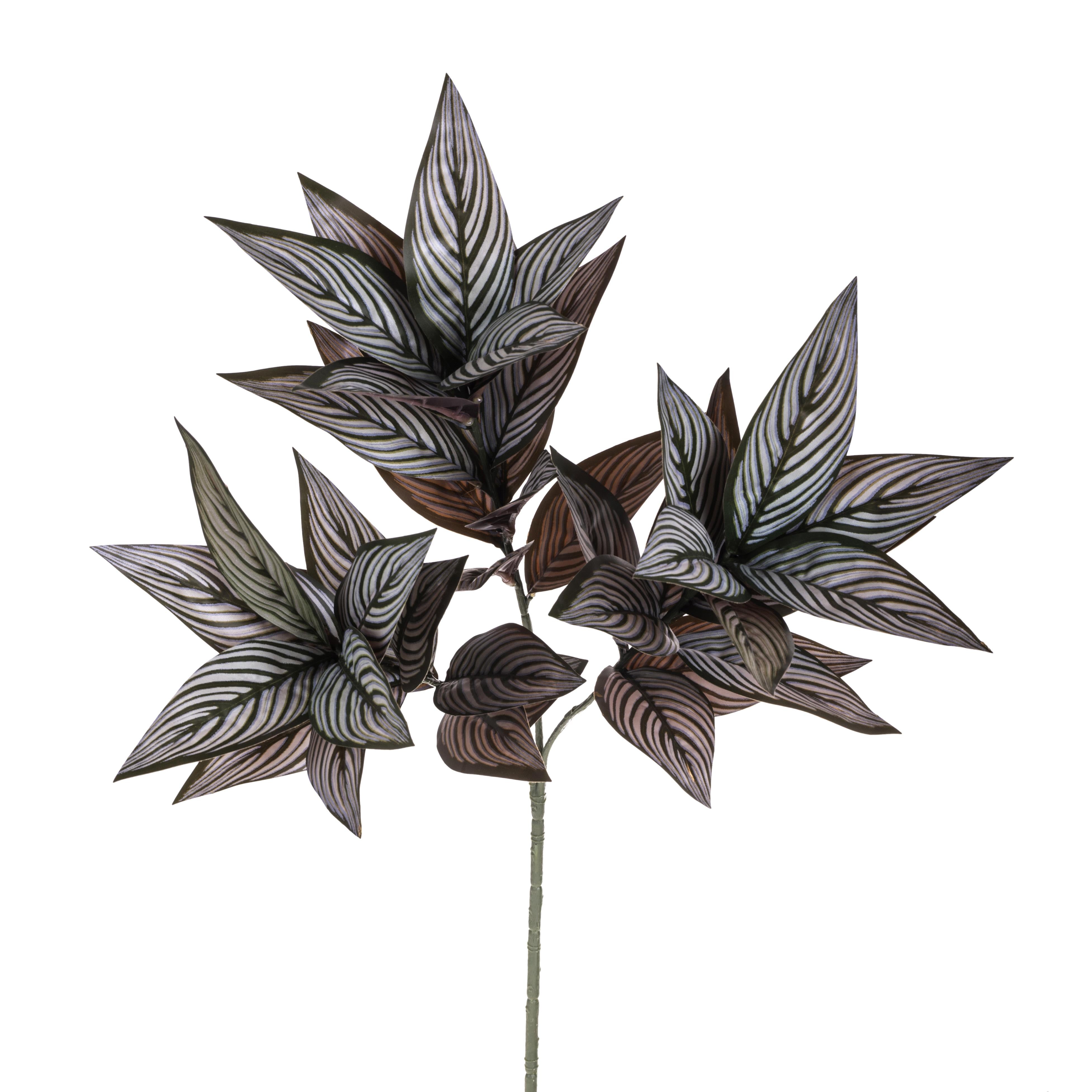 Set 3 Rami Artificiali di Foglia Calathea Composto da 39 Foglie H 70 cm