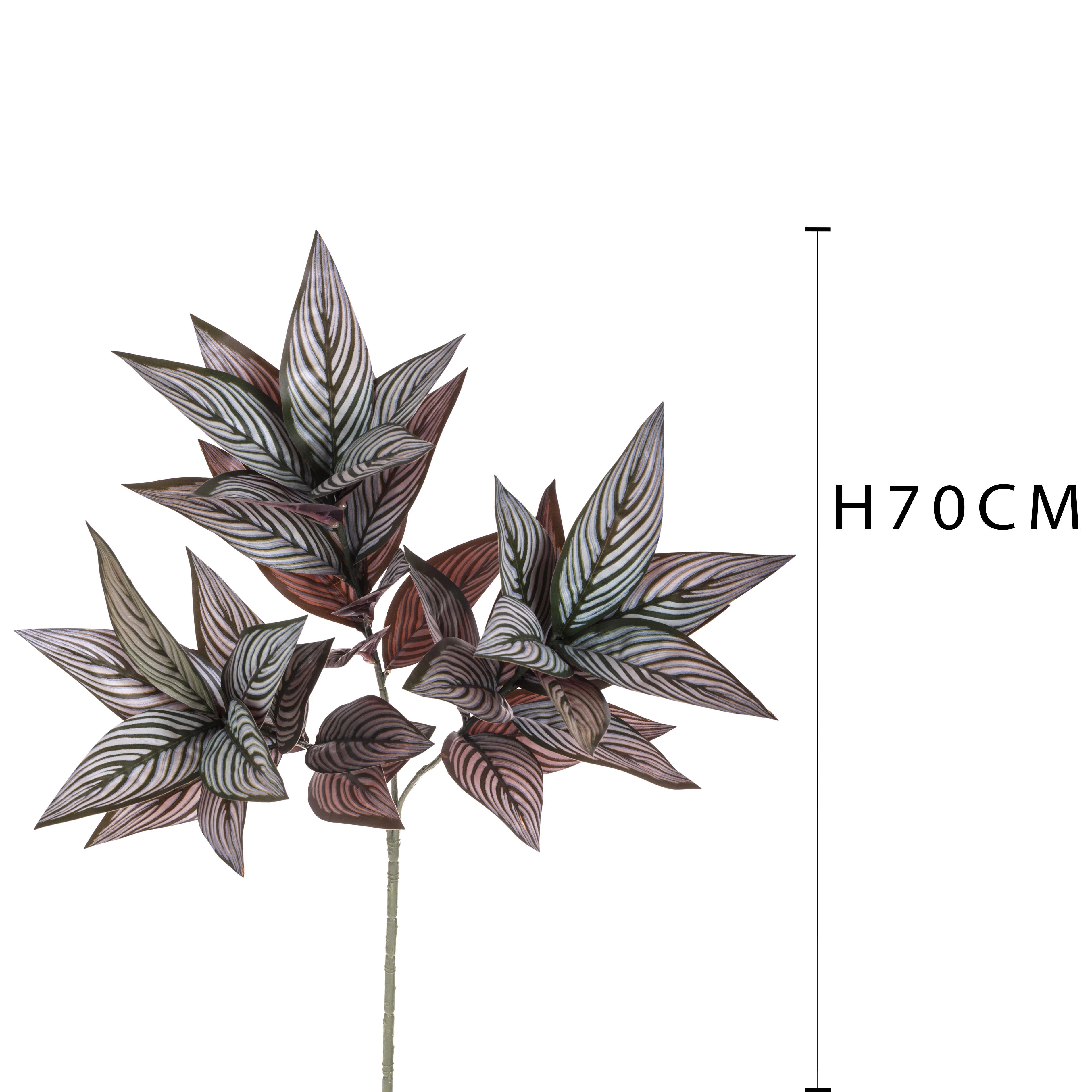 Set 3 Rami Artificiali di Foglia Calathea Composto da 39 Foglie H 70 cm