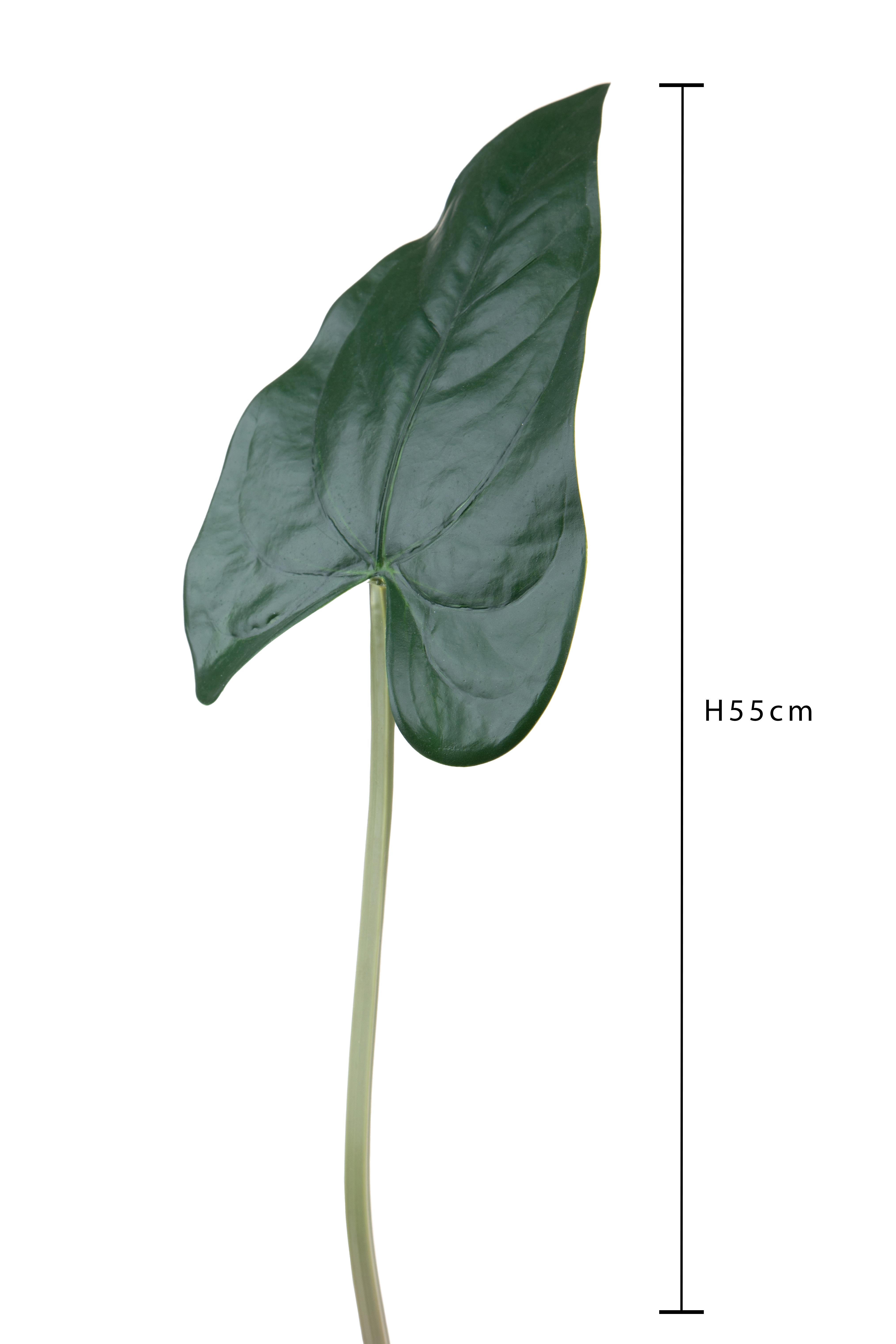 Set 12 Foglia Artificiali Anthurium 55 cm