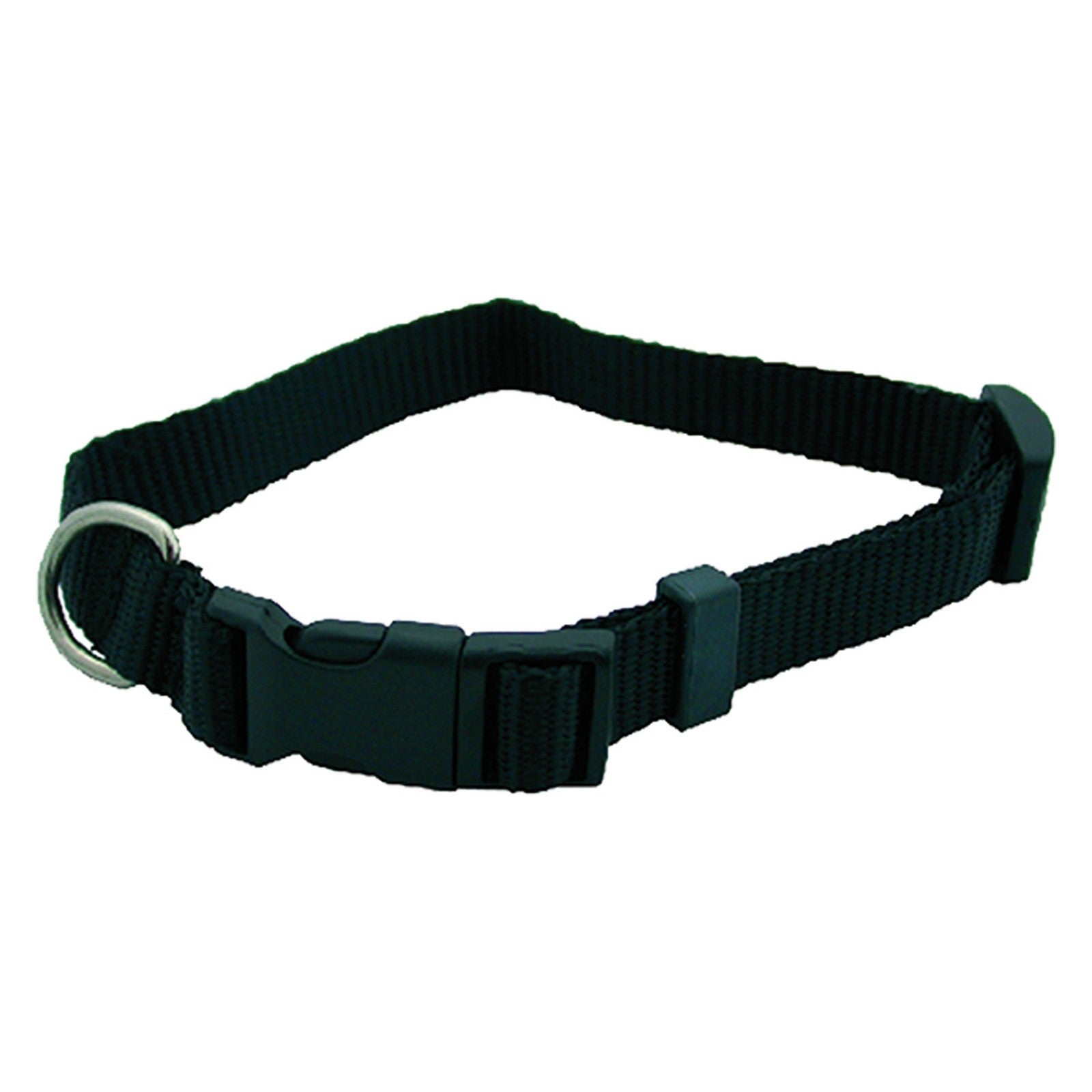 6pz collare per cane mm 25 x cm 60 cod:ferx.605795nlm