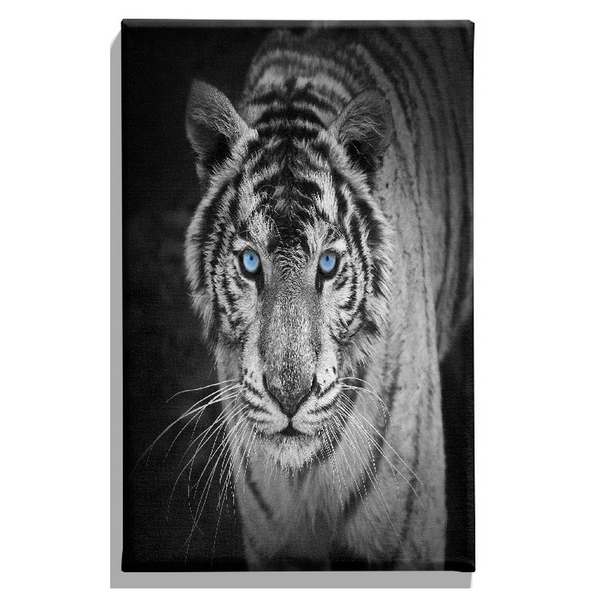 Stampa su Tela Tigre 1, Nero, Poliestere, 45x3x70 cm, EPIKASA