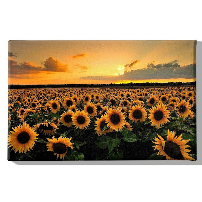 Stampa su Tela Girasoli, Arancione, Poliestere, 70x3x45 cm, EPIKASA