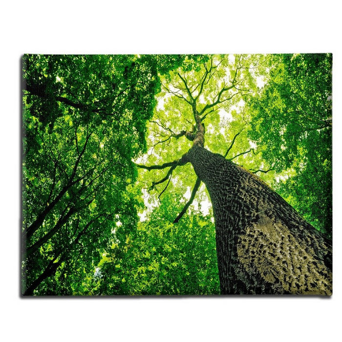 Stampa su Tela Albero, Multicolore, Poliestere, 70x3x45 cm, EPIKASA