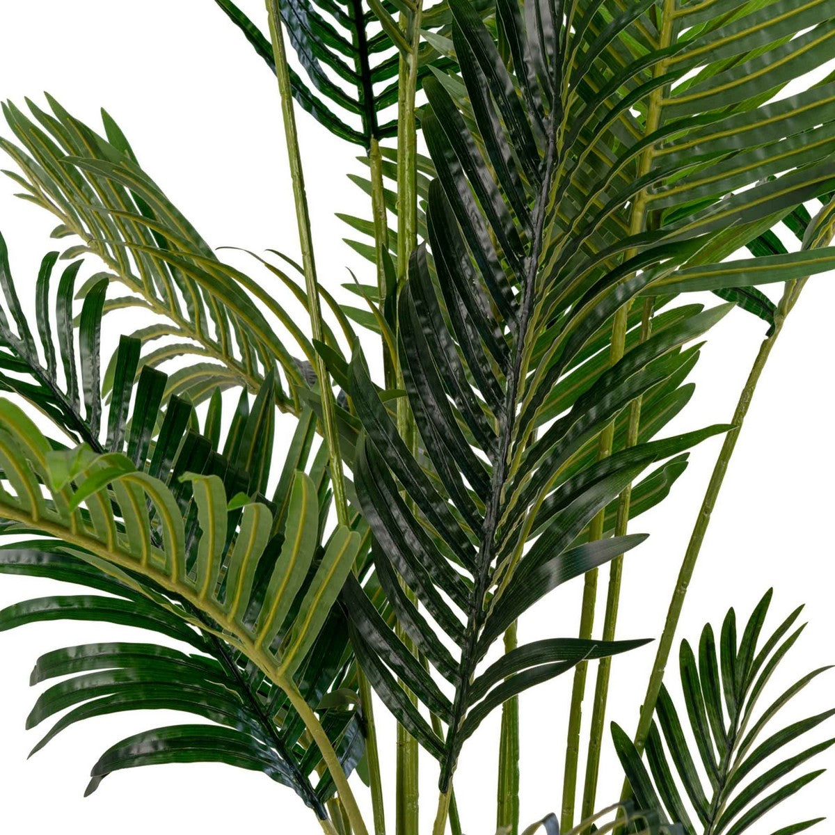 Pianta Artificiale Areca, Verde, Polietilene, 64x64x175 cm, EPIKASA