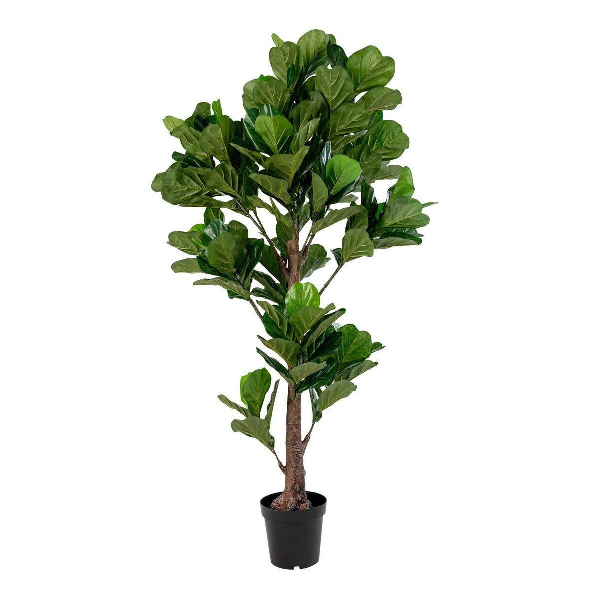 Pianta Artificiale Ficus Lyrata, Verde, Polietilene, 81x93x190 cm, EPIKASA