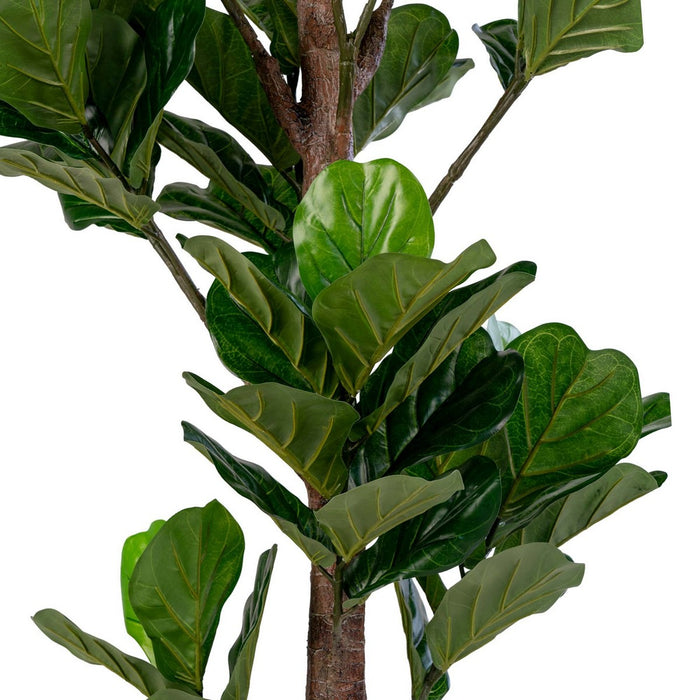 Pianta Artificiale Ficus Lyrata, Verde, Polietilene, 81x93x190 cm, EPIKASA