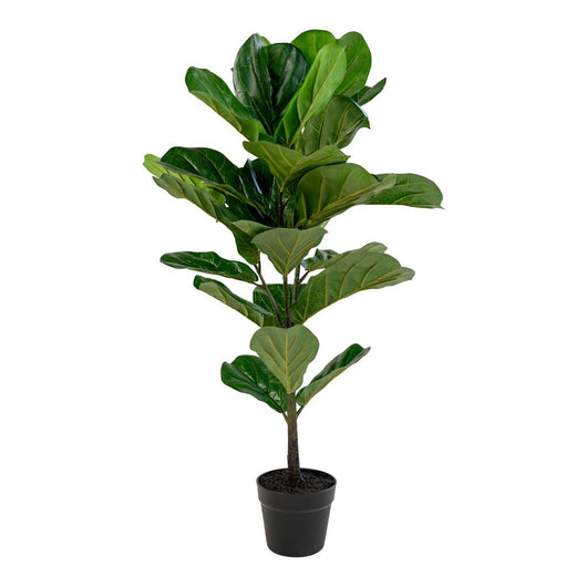 Pianta Artificiale Ficus Lyrata, Verde, Polietilene, 36x46x100 cm, EPIKASA