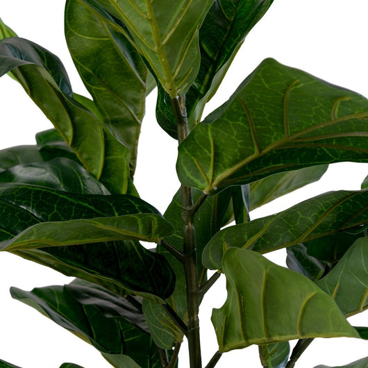 Pianta Artificiale Ficus Lyrata, Verde, Polietilene, 36x46x100 cm, EPIKASA