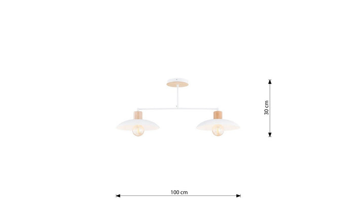 Lampada a Sospensione Hermes, Nero, Acciaio, 70x60x70 cm, EPIKASA