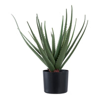 Pianta Artificiale Aloe, Verde, Plastica PE, 30,5x30,5x51 cm, EPIKASA