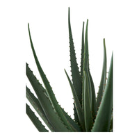 Pianta Artificiale Aloe, Verde, Plastica PE, 30,5x30,5x51 cm, EPIKASA