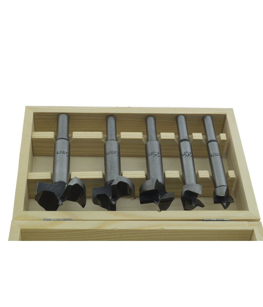 Set Kit 5 Frese Fresa Punte Punta Fresatrice Pantografo Verticale Legno 8mm 15         