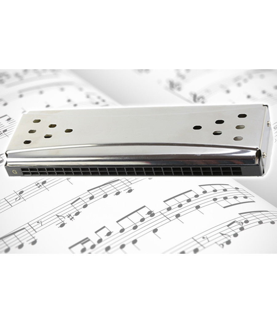 Armonica A Bocca Diatonica 24 Fori Blues Harp Chiave Reed Argento In Do E Sol +         