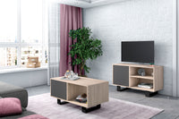 Mobile TV 95x40x57cm soggiorno pranzo con porta a sinistra colore rovere e antracite modello Wind