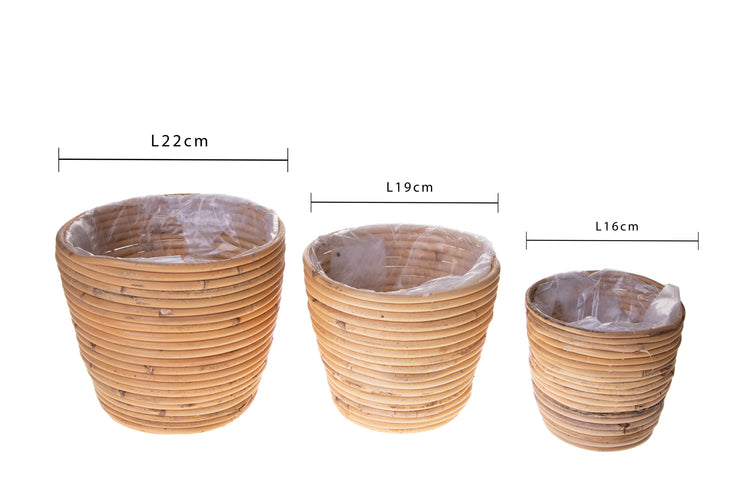 Set 3 Vasi in Rattan Diamentro 22 cm