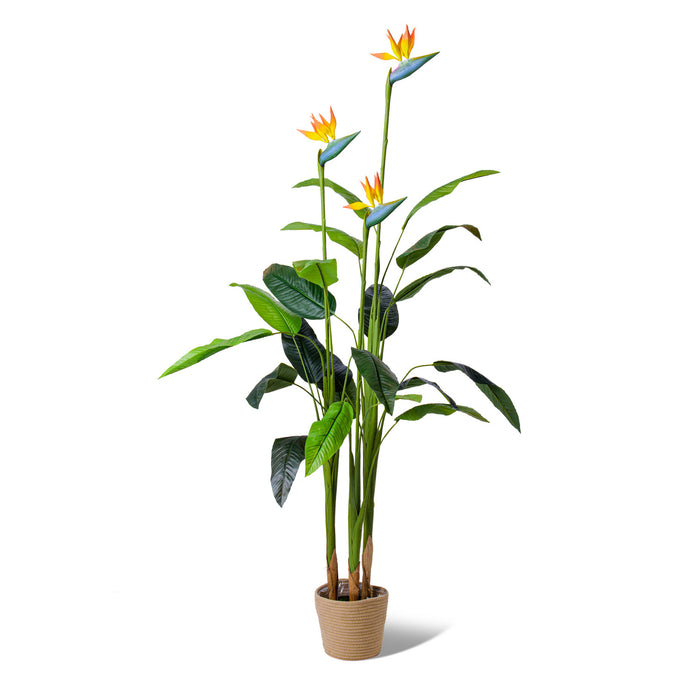 Bird of Paradise - Pianta Artificiale in vaso H160 cm