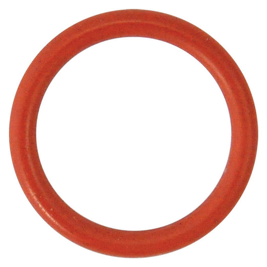 guarnizione o-ring per perno per n 5 - mm 29,82 x 2,62 8400784nlm