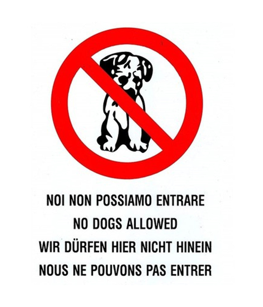 Cartello Adesivo Metallo Vietato Ingresso Ai Cani Indicazioni Segnaletica Targa         