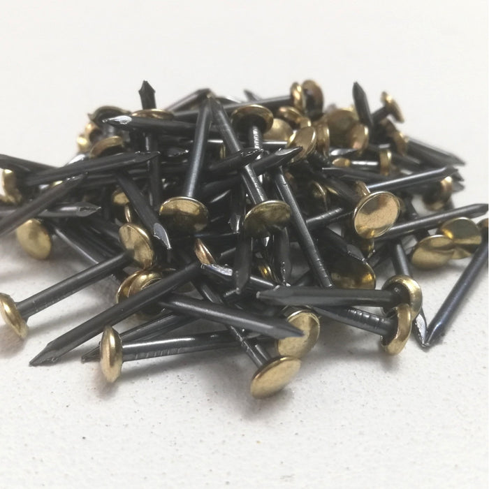 Chiodi di acciaio testa rotonda ottonata da 2,00x20mm - 100pz