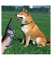 Collare Con Controllo Remoto Cane Gatto Display Lcd Remote Pet Training Collar         