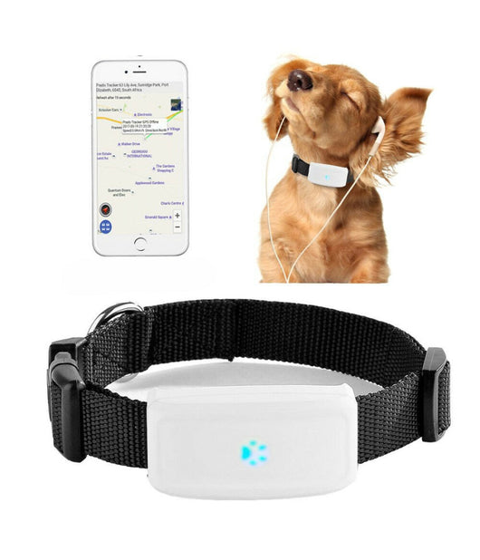 Collare Localizzatore Gps Gsm Tracker Per Animali Cane Gatto Con Collare         