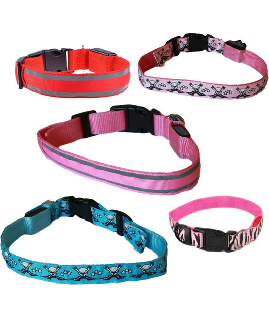 Collare Per Cane Cani A Led Luminoso Sicurezza Led Notturno Clip Fantasia Tg.l         