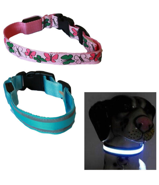 Collare Per Cane Cani A Led Luminoso Sicurezza Led Notturno Clip Fantasia Tg.m         