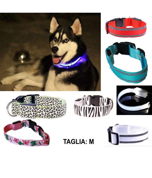 Collare Per Cane Cani A Led Luminoso Sicurezza Led Notturno Clip Fantasia Tg.m         