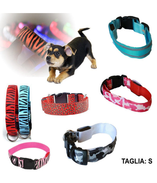 Collare Per Cane Cani A Led Luminoso Sicurezza Led Notturno Clip Fantasia Tg.s         