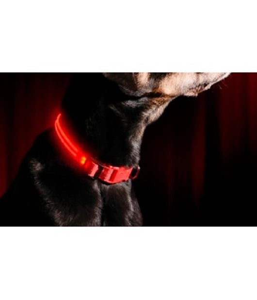 Collare Regolabile Luminoso A Led Per Cani E Gatti Vari Colori E Misure  Rosso   M    