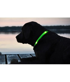 Collare Regolabile Luminoso A Led Per Cani E Gatti Vari Colori E Misure  Verde   L    