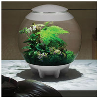 Oase acquario luminoso biorb halo 60 litri colore bianco con luci a led bianchi