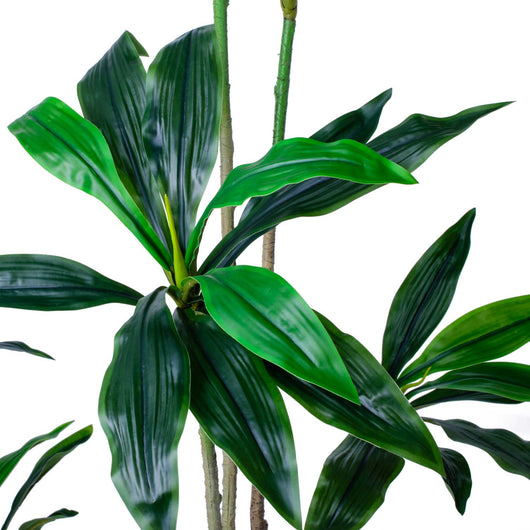 Dracaena - Pianta artificiale in vaso H150 cm