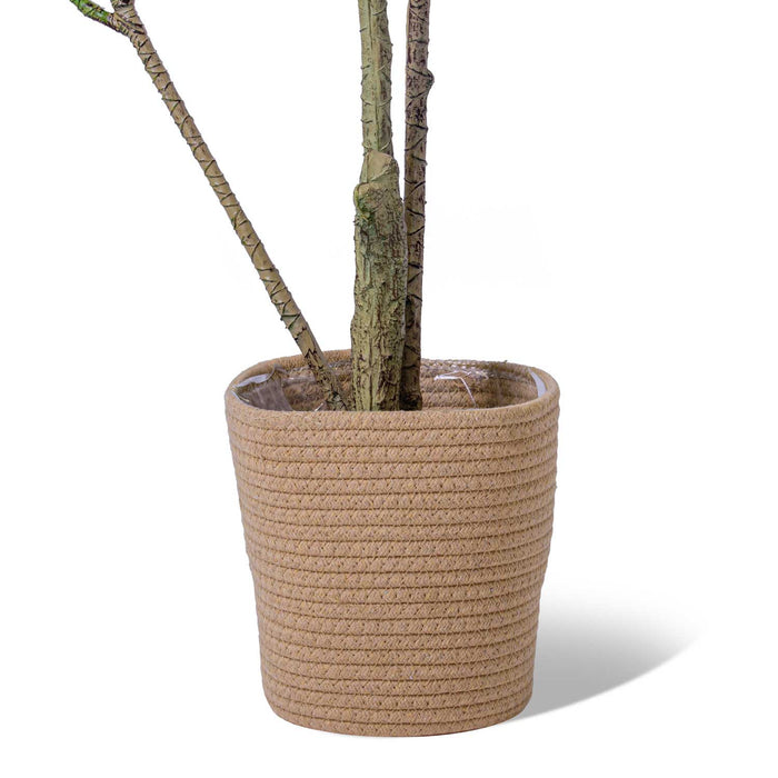 Dracaena - Pianta artificiale in vaso H150 cm