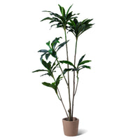 Dracaena - Pianta artificiale in vaso H150 cm