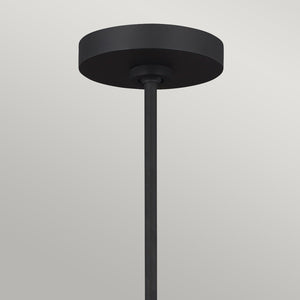 Lampadario Contemporaneo Joan Acciaio Nero Mezzanotte Ottone Brunito 5 Luci E27