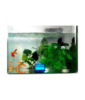 Filtro Interno Per Acquario Ad Immersione Filtro Acquario Carboni Attivi Af25         