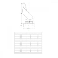 Fumaiolo gallo inox base quadra 27x27cm