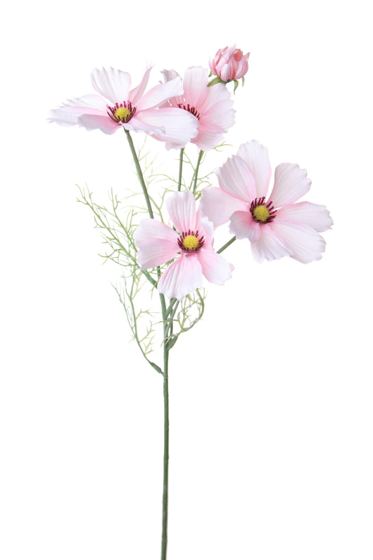 Set 8 Rami Artificiali Cosmos in Fiore per 5 H 68 cm