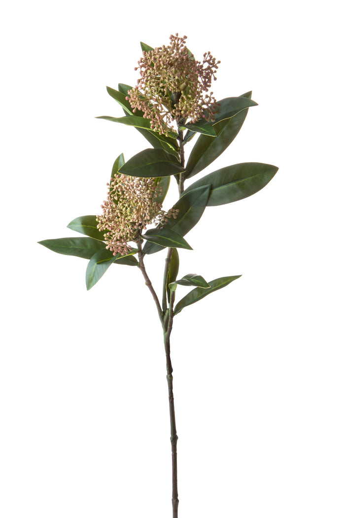 Set 4 Rami Artificiali Skimmia per 2 Fiori 72 cm