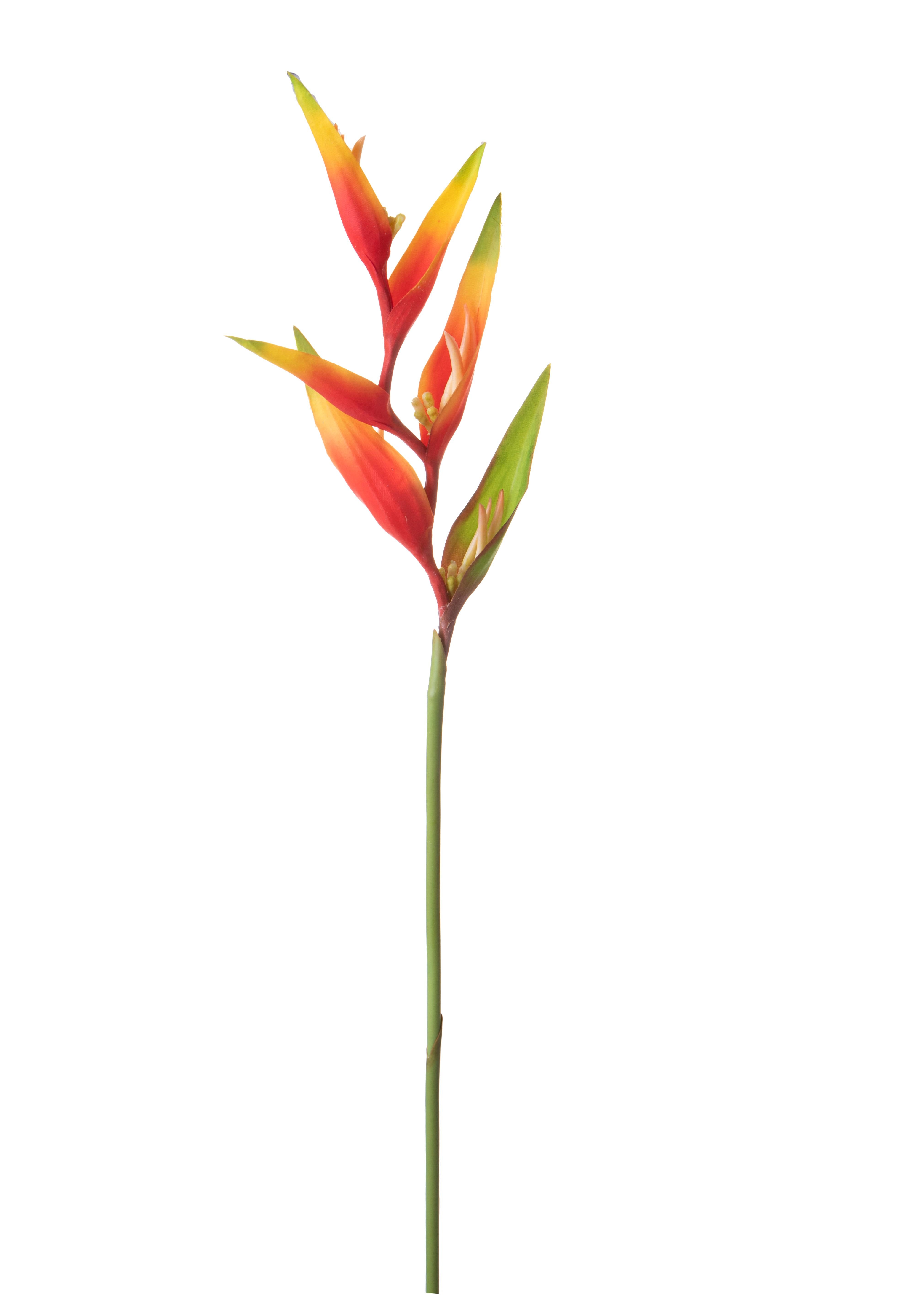 Set 3 Rami Artificiali Heliconia 83 cm