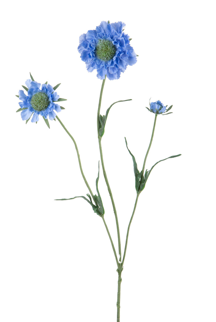 Set 6 Rami Artificiali Fiore di Scabiosa con 3 Diramazioni H 64 cm