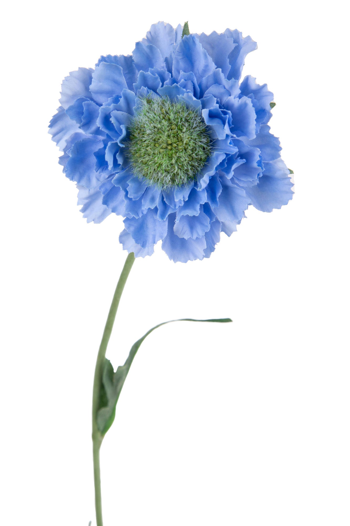 Set 6 Rami Artificiali Fiore di Scabiosa con 3 Diramazioni H 64 cm