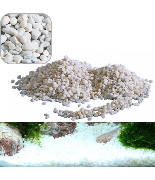 Ghiaia Noa Media Decorativa Per Acquario Acquari Kg. 2.0 River Rocks Per Fondale         