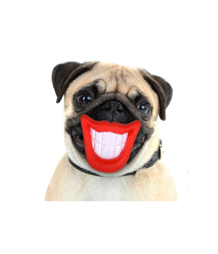 Gioco Da Mordere Per Cani Smile Con Suono In Gomma Naturale Dentiera Per Cani         